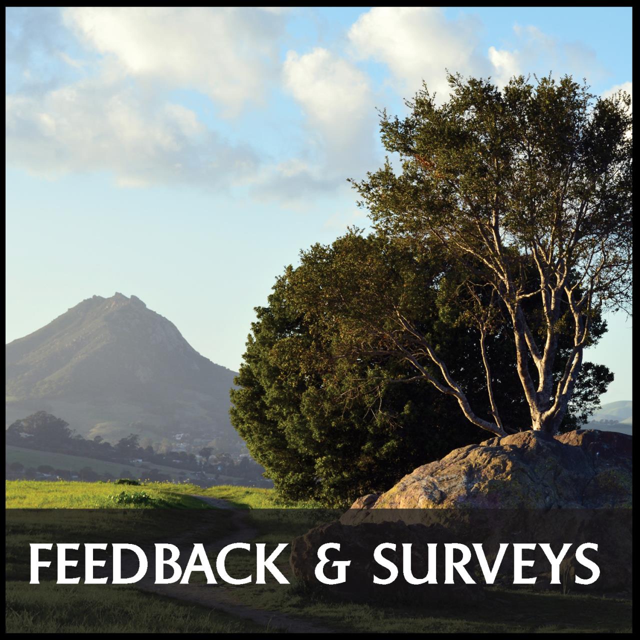 Text: Feedback & Services; beautiful slo hills and trees