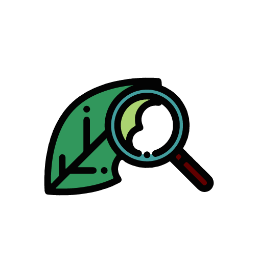 clipart of leaf being examined by the magnifying glass