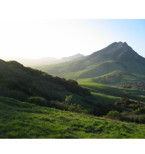 bishop peak green hills with sun shining through brightly