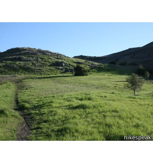 green south hills in the midst of a hike trail