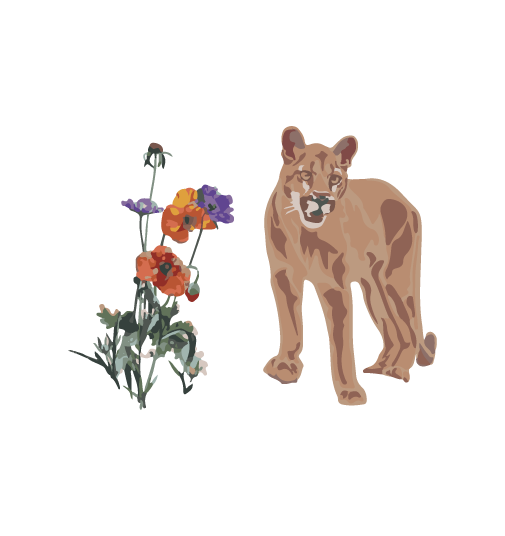 clipart of flowers and a mountain lion 