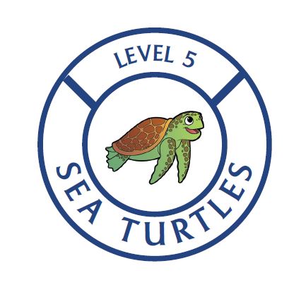 sea turtle cartoon