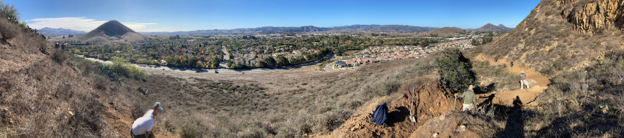 Panorama view of SLO Rangers and volunteers working on the Orcutt/Righetti Open Space