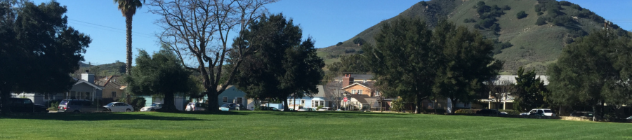 A picture of Emerson Park showing the view of the green lawn