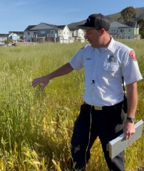 Weed abatement with SLO employee 