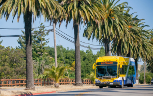 A picture of a SLO Transit driving on California Boulevard in front of Cal Poly