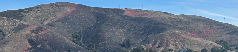 Lizzie Fire Burn Scar