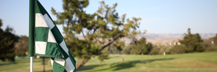 A picture of a golf flag on the Laguna Lake Golf Course