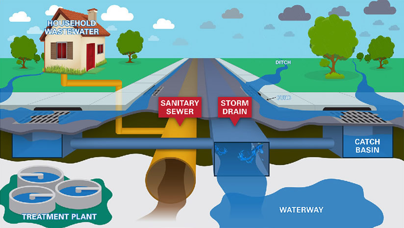 Graphic image depicting path of sanitary sewer versus storm drain flow