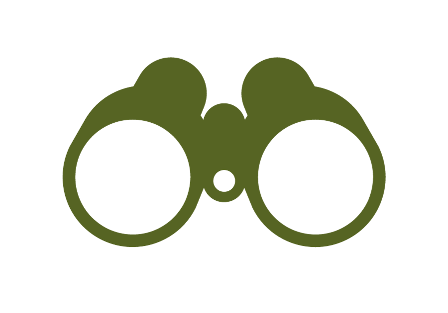 A green icon of binoculars