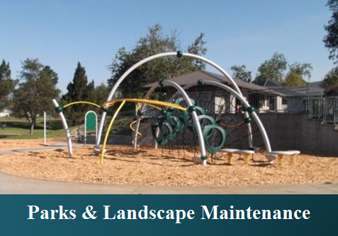 Parks & Landscape Maintenance