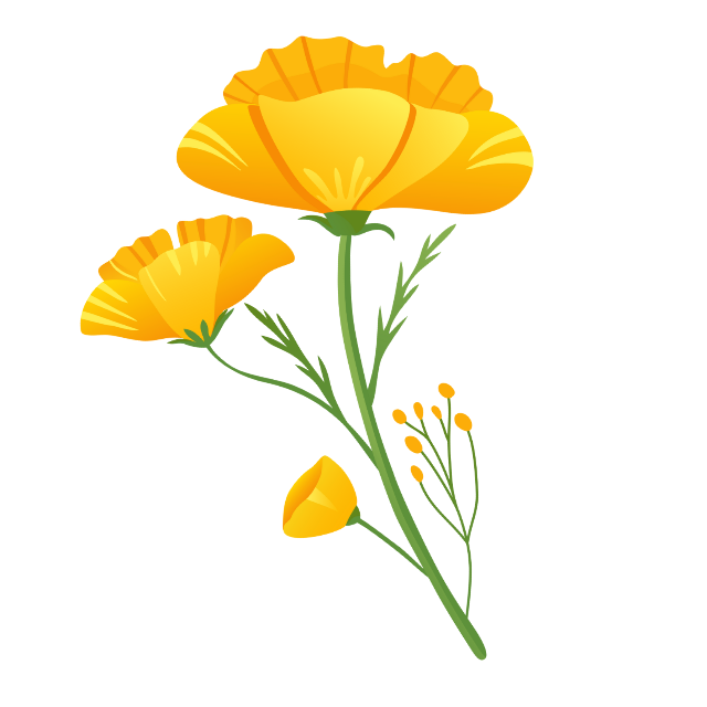 illustration of poppy flowers