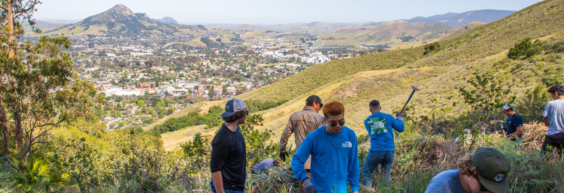 A group of young adults clear brush from open space trails in SLO.