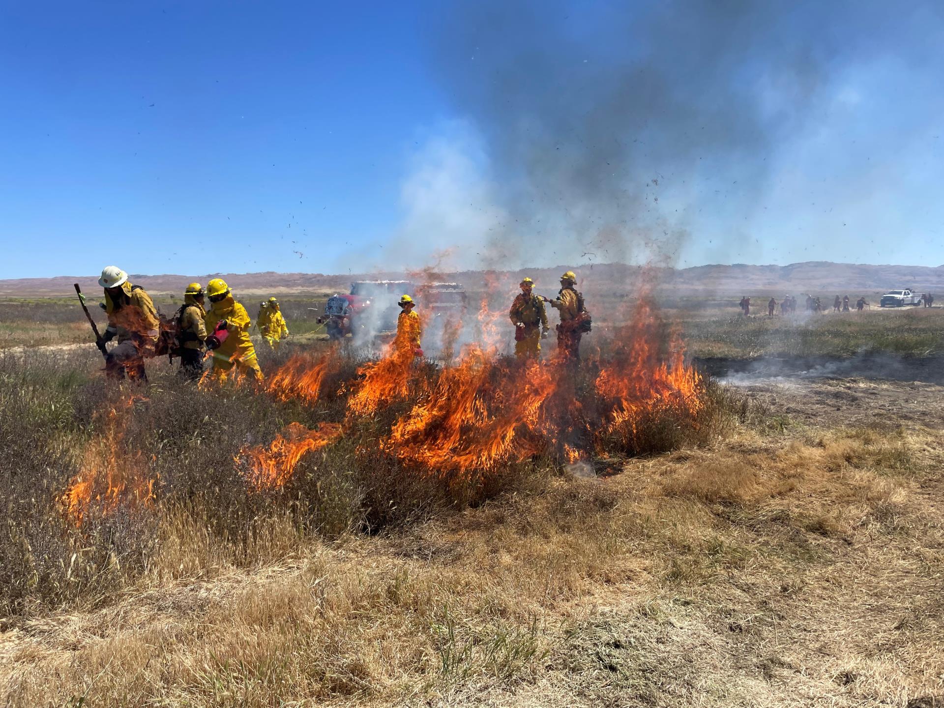 firefighters responding to dead grass burning