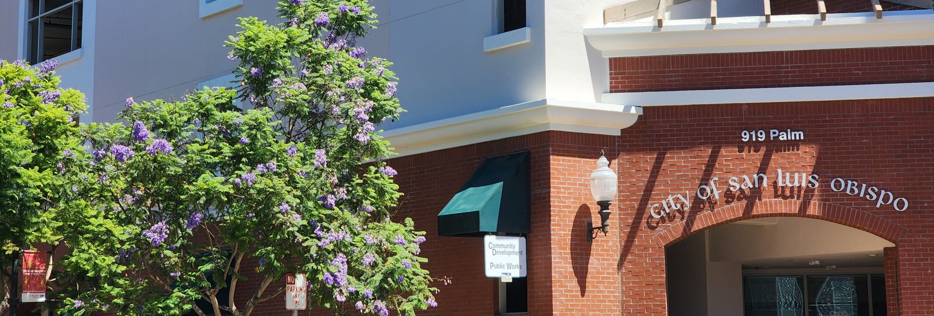 front of 919 building and tree with purple flowers