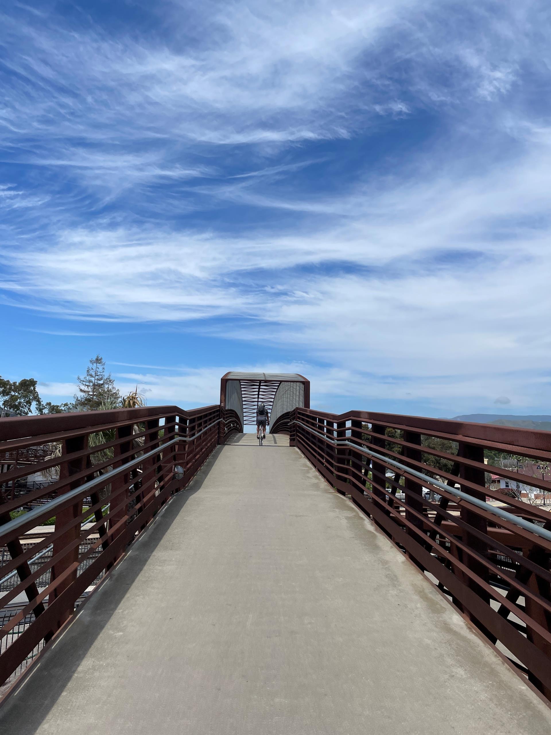 Bike Bridge