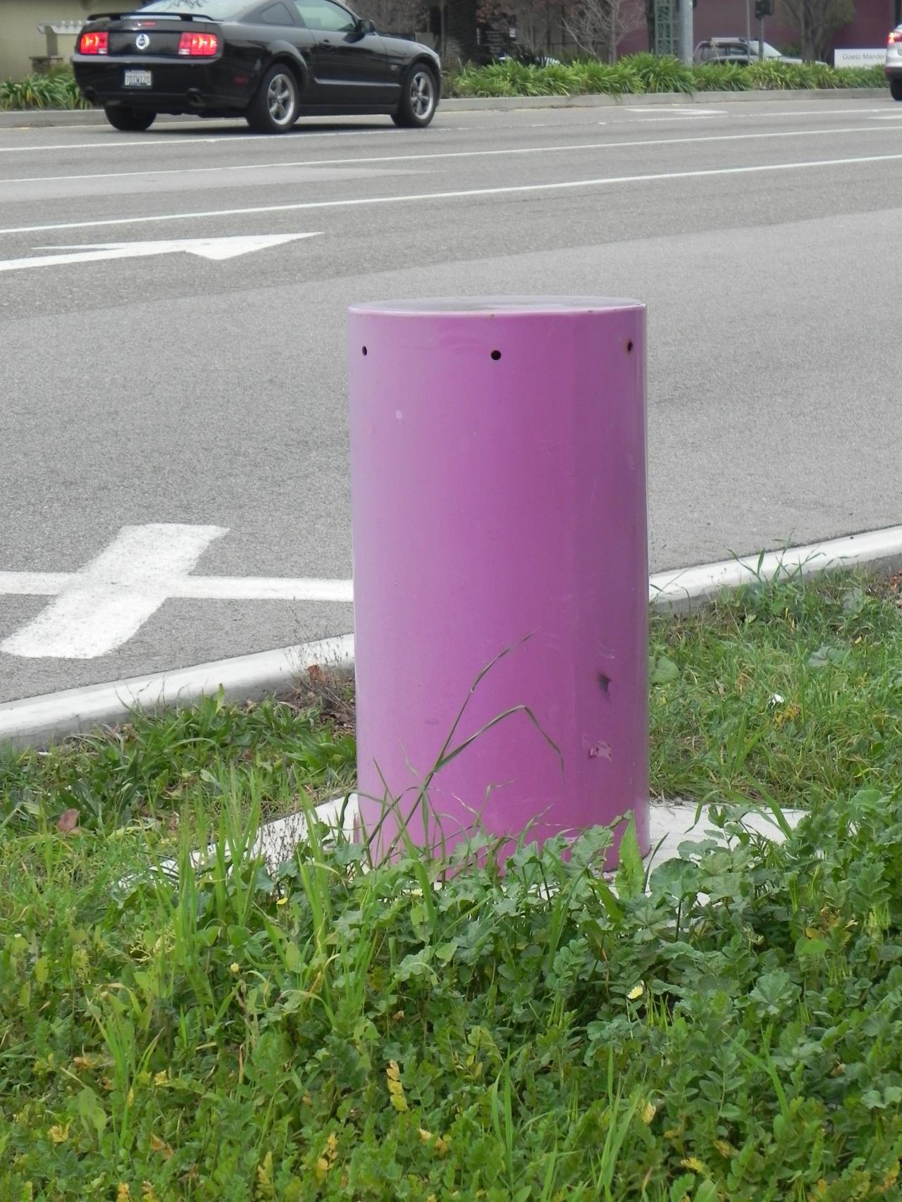 purple pole housing treated water