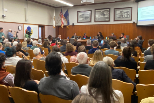 Community members pack the Council Chambers during a City Council meeting.