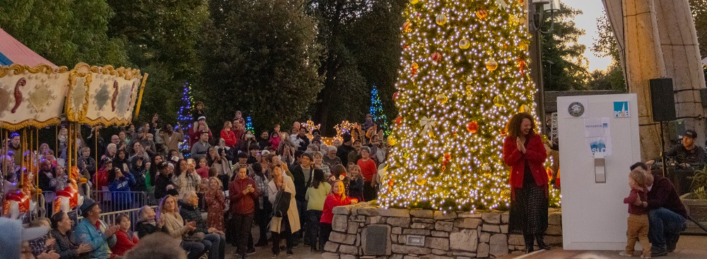 Mayor Erica A Stewart helps switch on the lights at Mission Plaza.