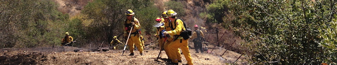 wildland fighters in action