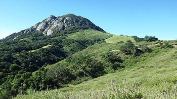 Bishop Peak along Felsman Loop trail